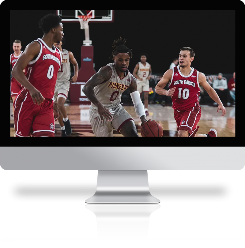 Image module